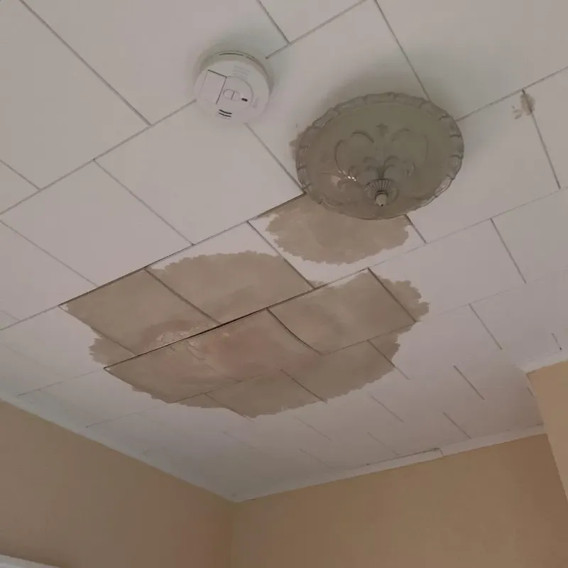 Ceiling Water Damage Repair in Galena, IN