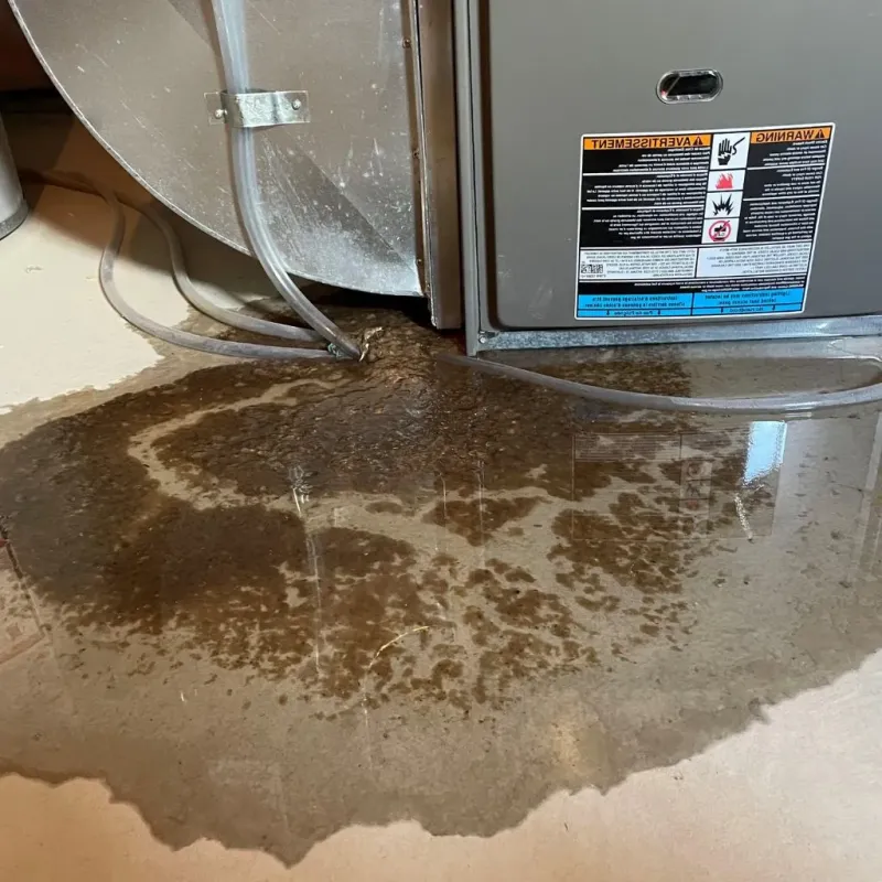 Pipe Burst and Leak Restoration in Galena, IN