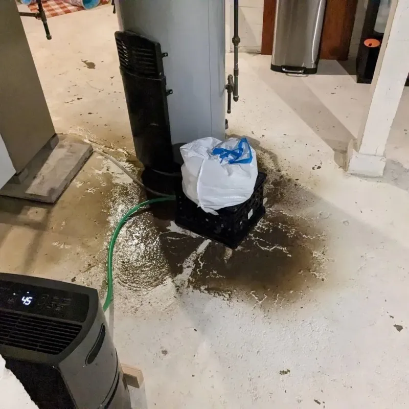 Sewage Backup Cleanup Service in Galena, IN